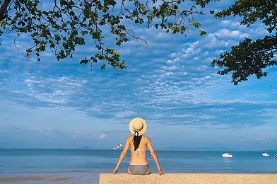 本周Fami通游戏评分出炉 《信长之野望 新生 with 威力加强版》进入白金殿堂