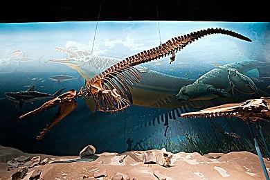 《使命召唤：黑色行动6》第一赛季11月14日开启 大量内容更新